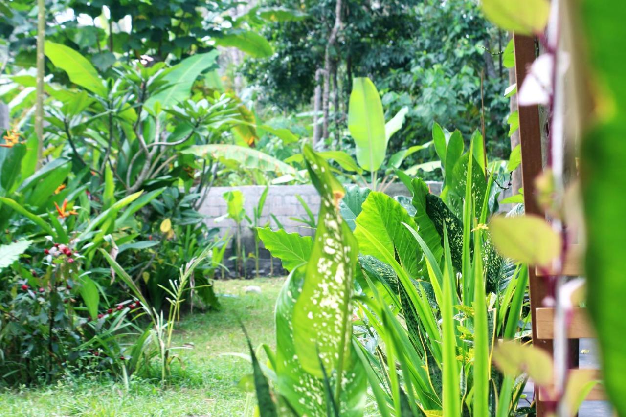 Jungle House - Surf & Stay Pulukan Kültér fotó