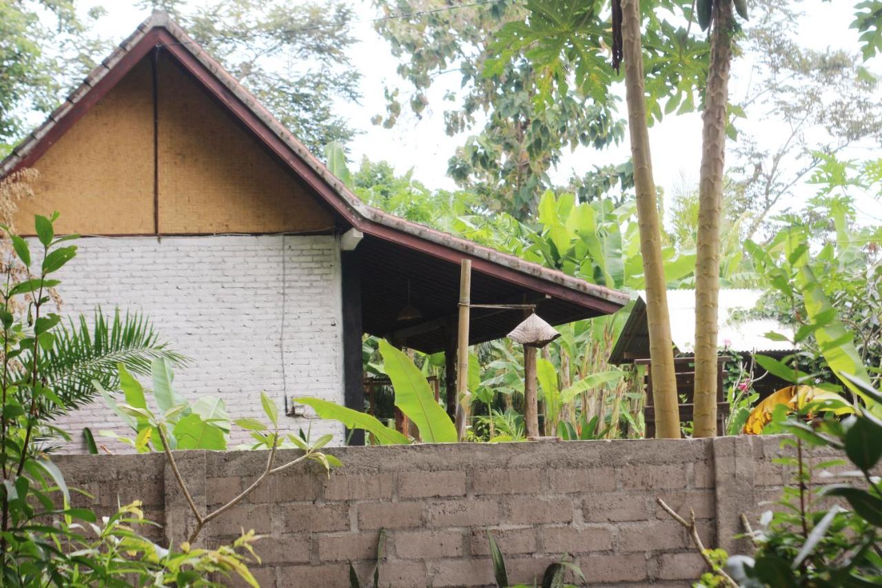 Jungle House - Surf & Stay Pulukan Kültér fotó