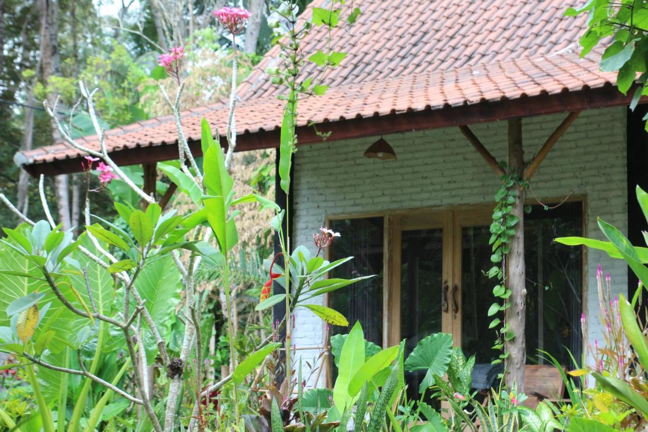 Jungle House - Surf & Stay Pulukan Kültér fotó