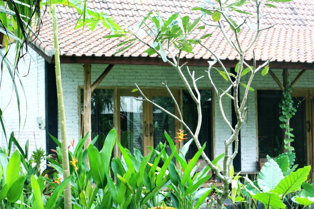 Jungle House - Surf & Stay Pulukan Kültér fotó