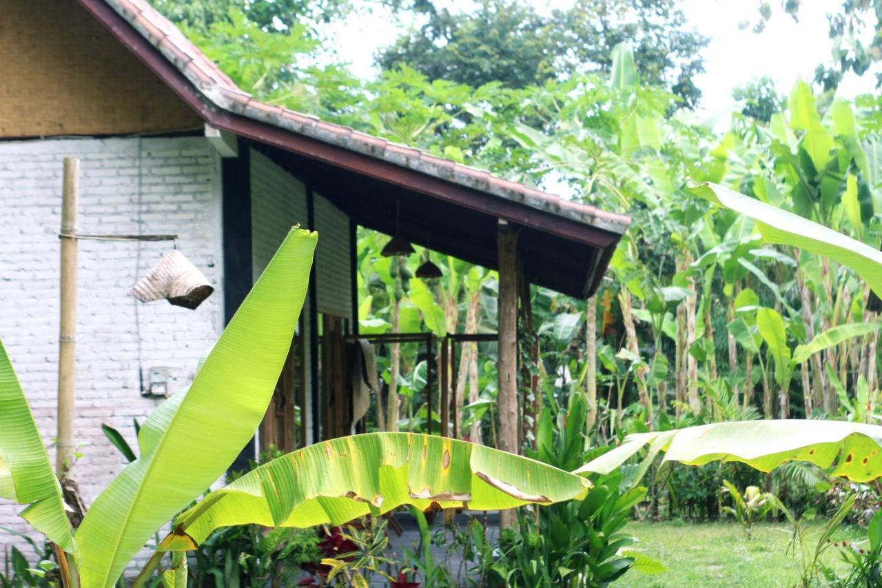 Jungle House - Surf & Stay Pulukan Kültér fotó