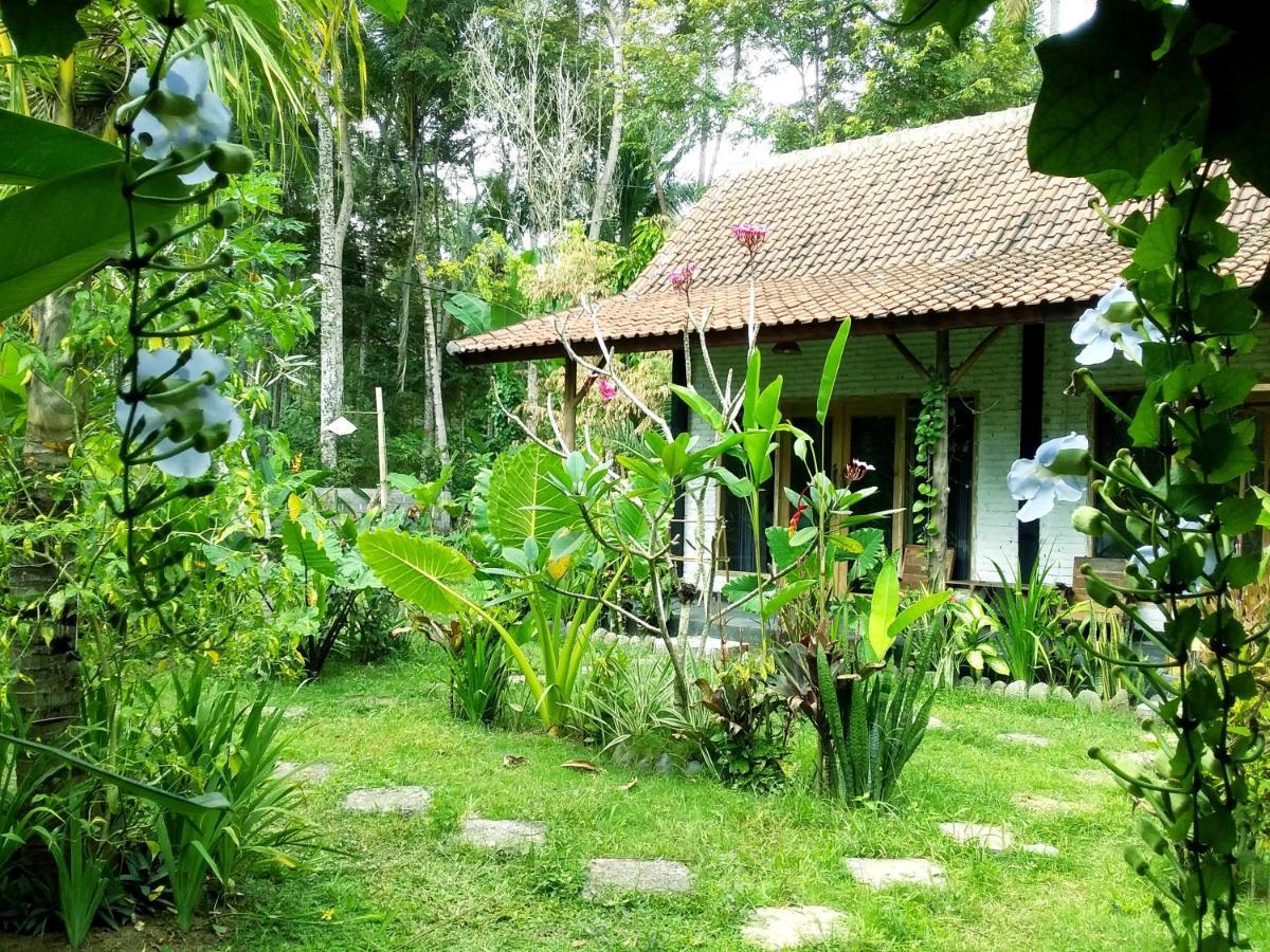 Jungle House - Surf & Stay Pulukan Kültér fotó