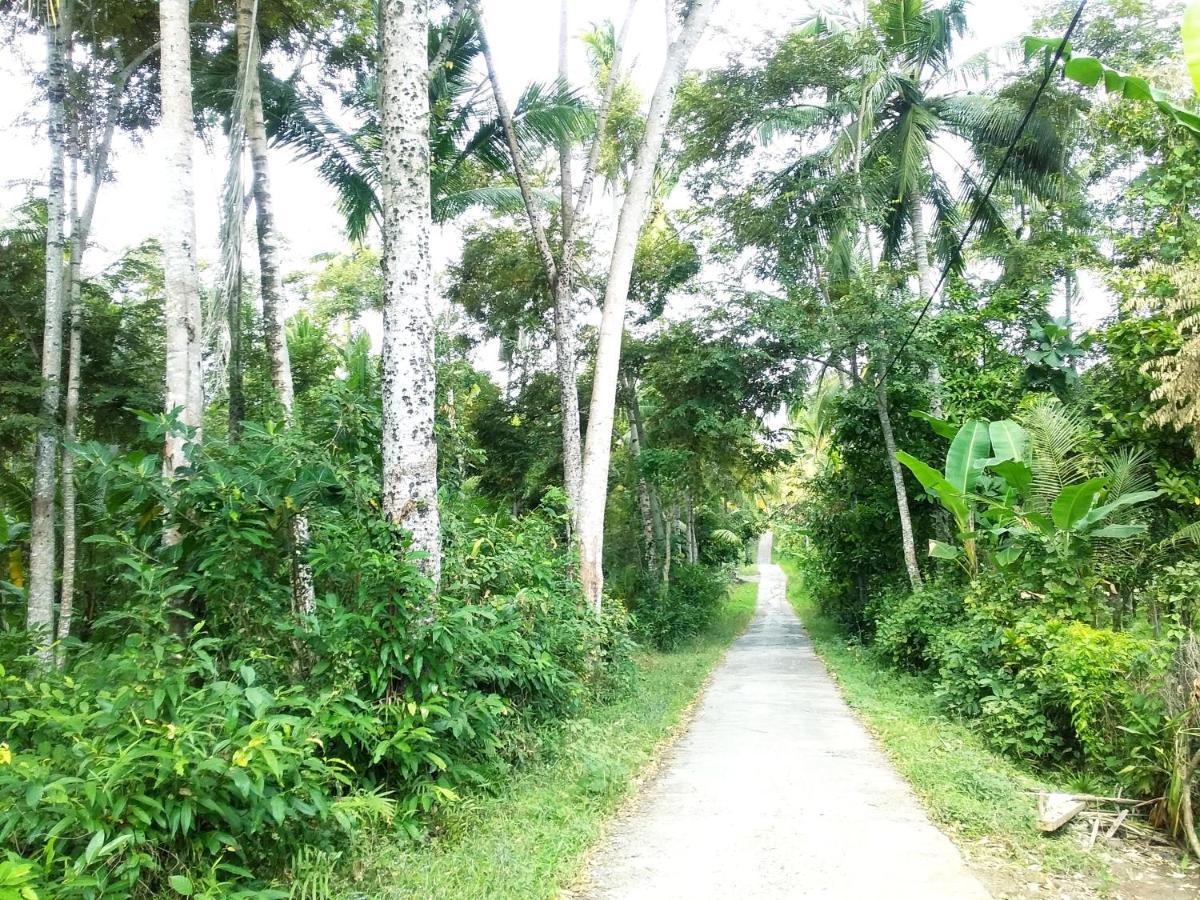 Jungle House - Surf & Stay Pulukan Kültér fotó